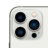 iPhone 13 Pro | 1 TB | Silber | Akku neu | Sehr gut