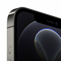 iPhone 12 Pro Max | 128 GB | Graphit | Akku neu | Gut
