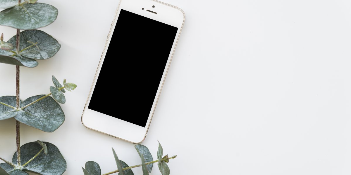 Ein weißes iPhone mit goldfarbenem Rahmen liegt auf einer weißen Oberfläche. Das Display ist schwarz und ausgeschaltet. Das Smartphone ist von frischen Eukalyptuszweigen mit silbergrünen, ovalen Blättern umgeben, die eine natürliche, minimalistische Dekoration bilden. Die Komposition strahlt eine ruhige, moderne Ästhetik aus.